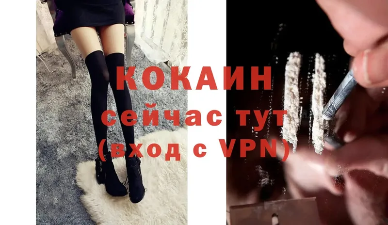 цены   Кировск  Cocaine VHQ 